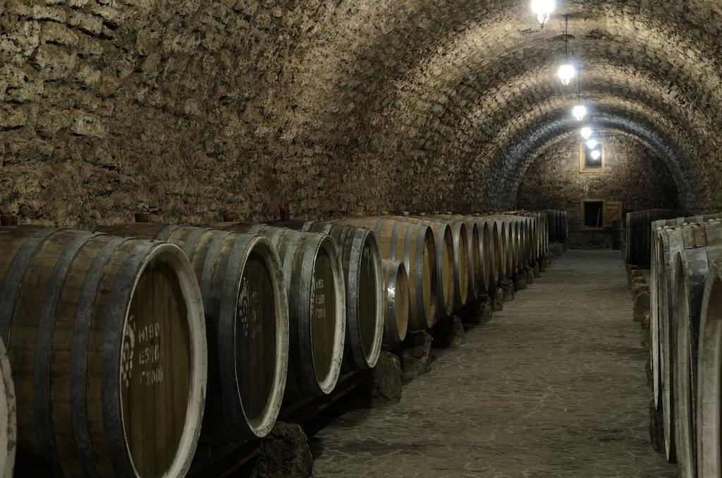 Prince Trubetskoi Winery Hotel โนวา คาคอฟกา ภายนอก รูปภาพ